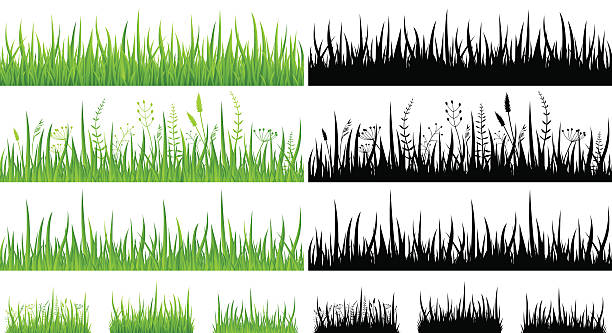 зеленая трава-бесшовный узор и силуэты-иллюстрации - травинка stock illustrations