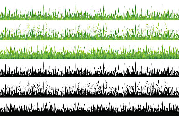 푸른 잔디-이음새 없는 패턴 및 그림자-일러스트 - blade of grass grass leaf long stock illustrations