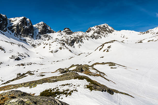 istock Surrounding the valley in winter. 520008984