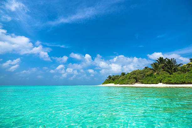 istock beautiful beach and tropical sea 520011590