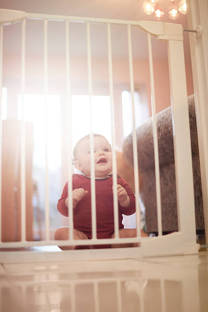 istock Baby boy waits behind baby gate 520012462