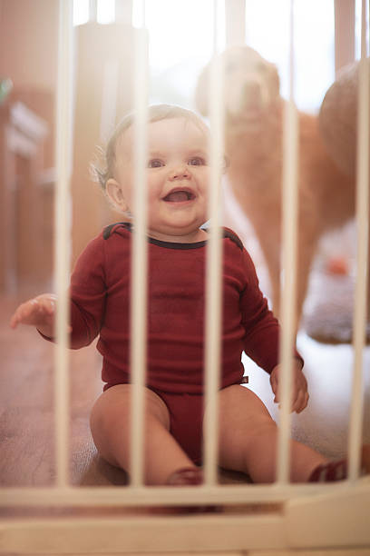 istock Baby boy laughing behind baby safety gate 520012788