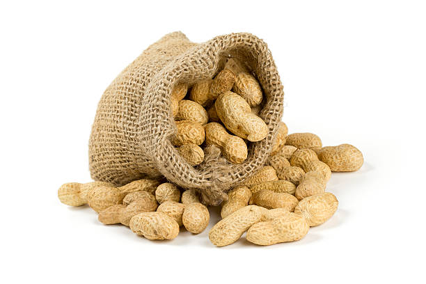 istock peanuts in a miniature burlap bag isolated on white 520014180