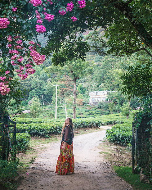 istock Young woman in a Field 520017246