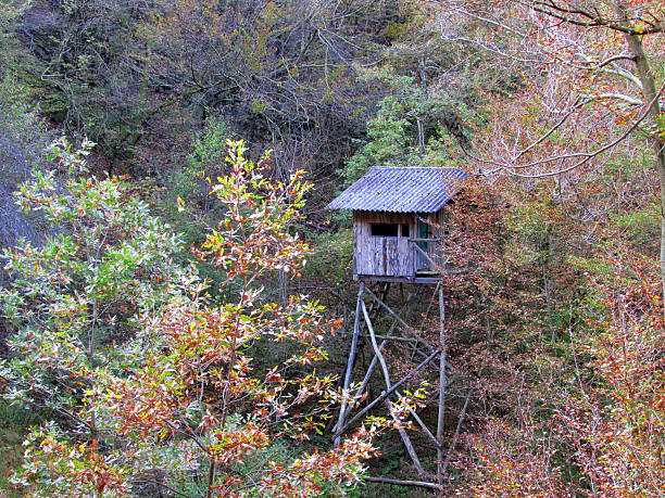 vecchia guardia caccia - forest hut window autumn foto e immagini stock