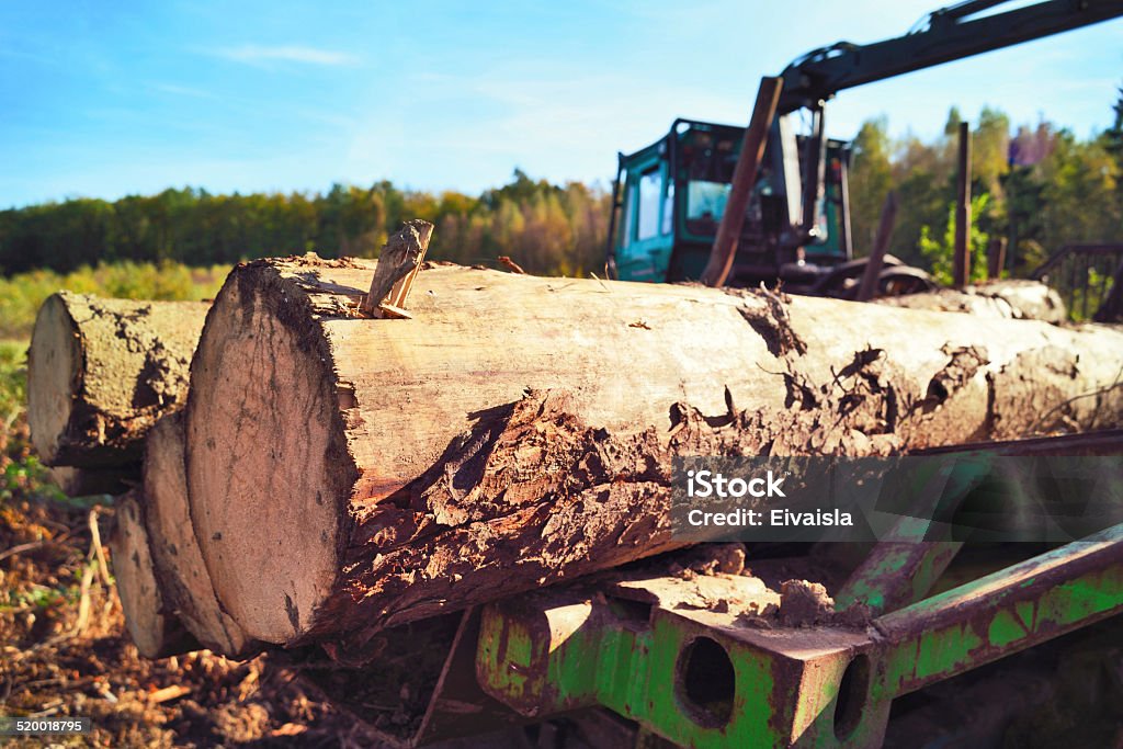 lumber industry tractor tractor in an autumn forest. Lumber Industry machine with pile of wood. Agricultural Machinery Stock Photo