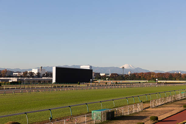 hippodrome de tokyo au japon - tokyo racecourse photos et images de collection