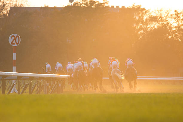 japan cup en el hipódromo de tokio - tokyo racecourse fotografías e imágenes de stock