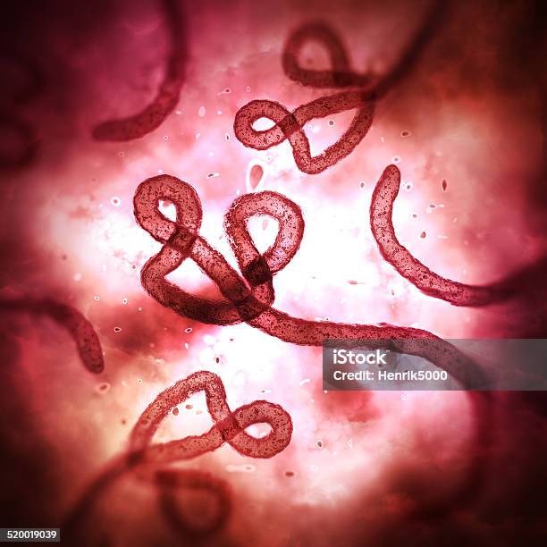 Ebola Virus Under Microscope Stock Photo - Download Image Now - Ebola, No People, Virus
