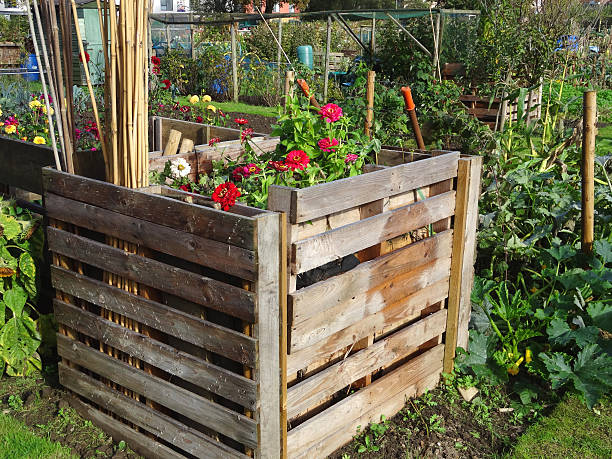 istock Wooden compost heaps, compost bin converters, allotment / vegetable garden waste 520020365