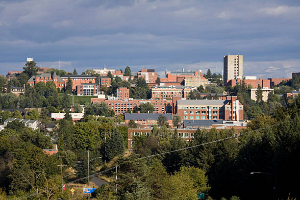 l'università di washington state university in pullman, washington - palouse foto e immagini stock