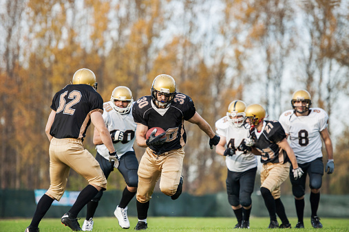 American football players in action on the playing field.   