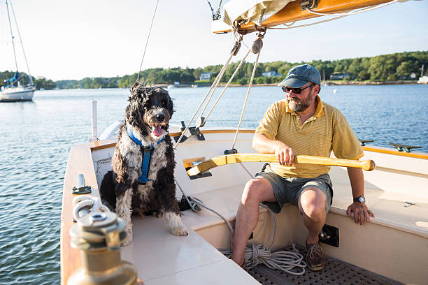istock Senior Man and his Dog 520023693