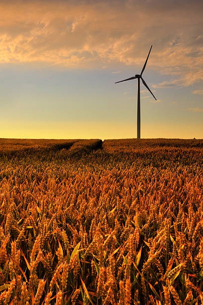 istock windmill, group of aligned windmills for electric power generation alternative 520024261