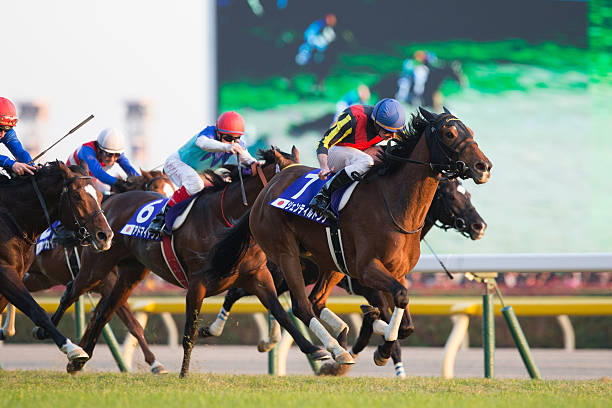 gentildonna wins japan cup 2013 - tokyo racecourse fotografías e imágenes de stock