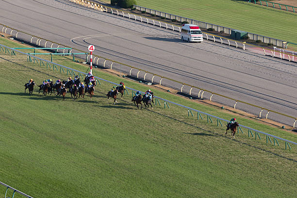japan cup día de carreras en el hipódromo de tokio - tokyo racecourse fotografías e imágenes de stock