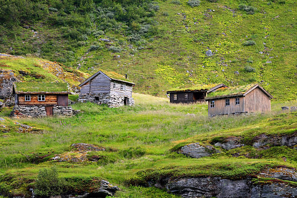 istock Beautiful landscape of Norway, Scandinavia 520040329