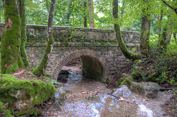 istock France Savoie forest walks 520040477