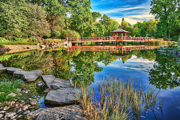 istock Japanese Garden in Wroclaw. 520044177