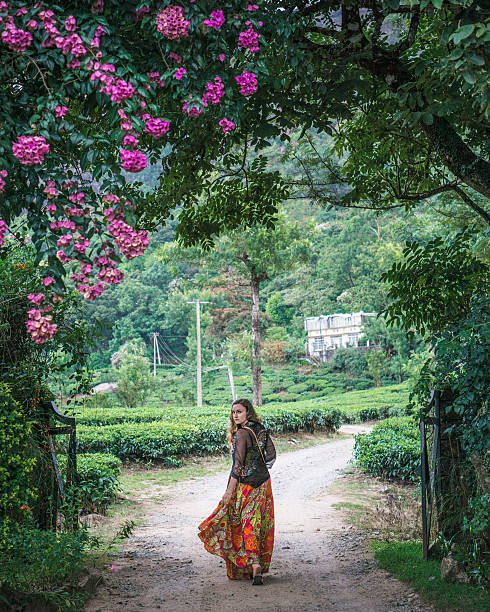 istock Young woman in a Field 520045766
