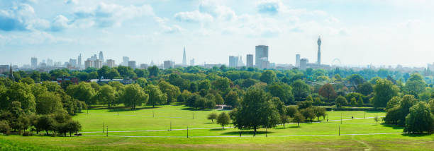 skyline von london und primel hügel park panorama - grass sky cloudscape meadow stock-fotos und bilder