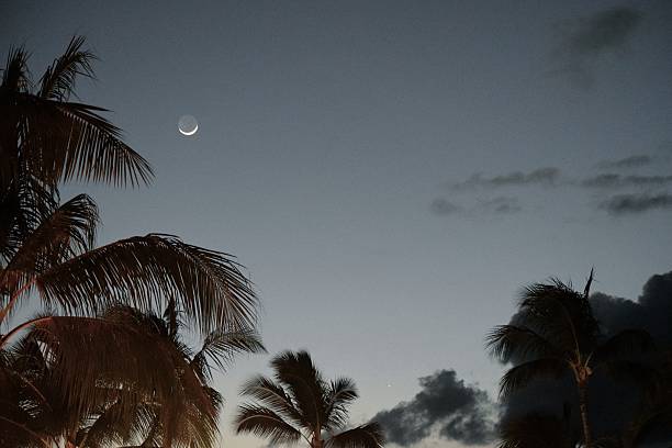 Photo of Twilight Crescent Moon