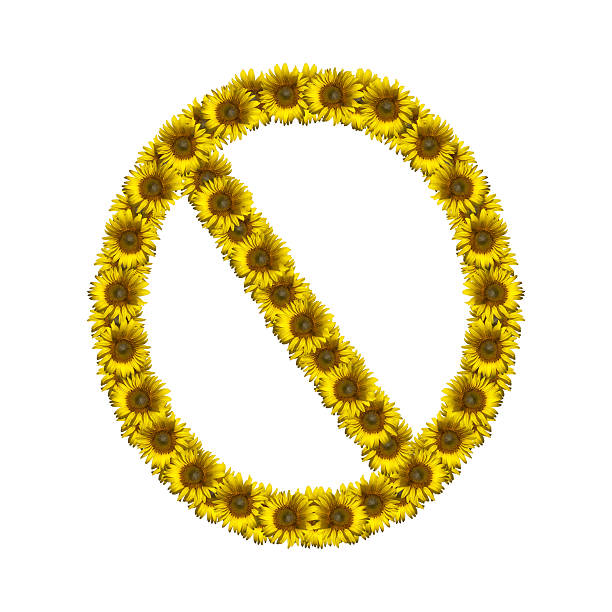 istock Isolated sunflower number 0 520056158