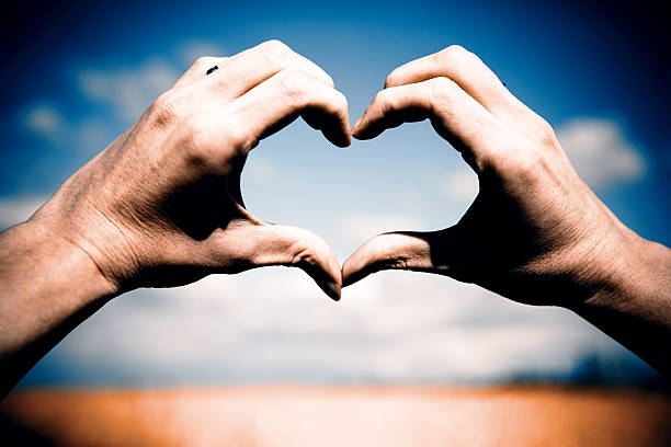 istock Love shape hands - heart on yellow field 520073311