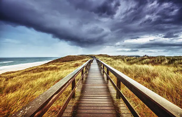 Autumn scenery on Sylt. Wet wooden path through dunes along the North Sea between Wenningsted towards the Red Kliff (Kampen) under dramatic sky.