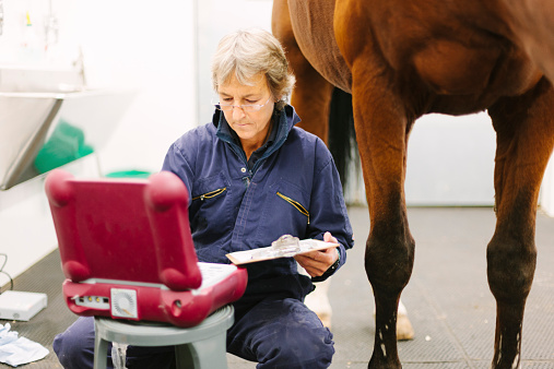 A veterinary surgeon prepares to undertake an ultrasonic examination of a horse's fetlock.  Coombefield Veterinary Hospital, Summerleaze Farm, Axminster, Devon. 