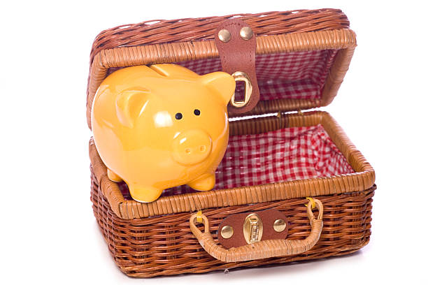 istock piggy bank picnic 520076959
