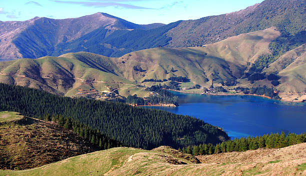istock Tennyson Inlet, Marlborough Sounds 520077265