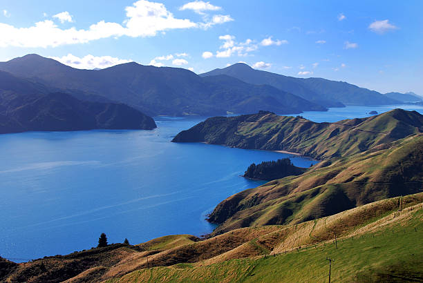 Marlborough Sounds, New Zealand Rugged coastline of Marlborough Sounds near French Bay and Nelson, South Island New Zealand marlborough new zealand stock pictures, royalty-free photos & images