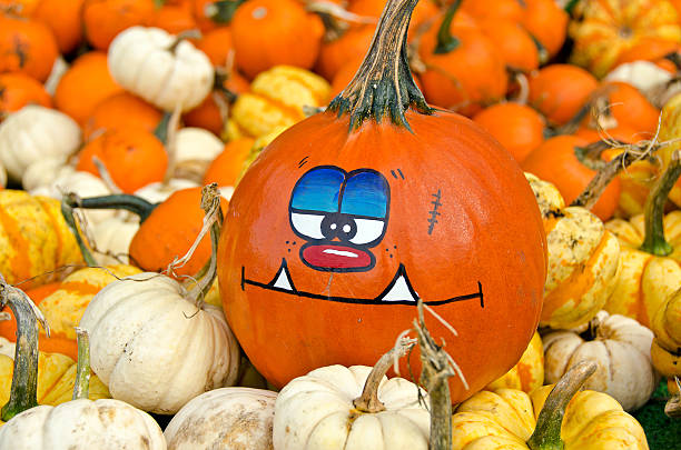 istock funny pumpkin in gourds 520077395