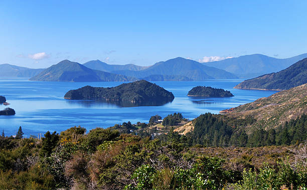 istock Marlborough Sounds, New Zealand 520077839