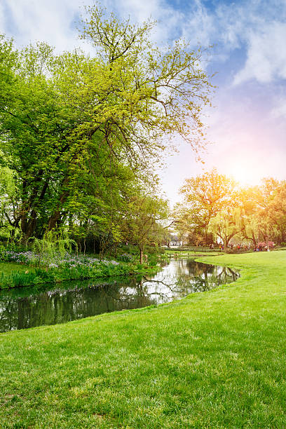istock The beautiful green lawn in the spring park 520085942