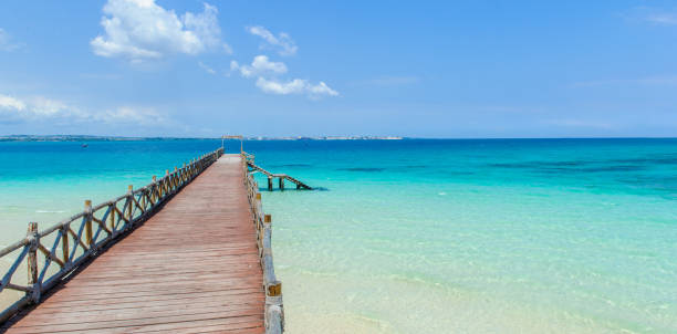 istock Pier at Prison Island in Zanzibar 520088382