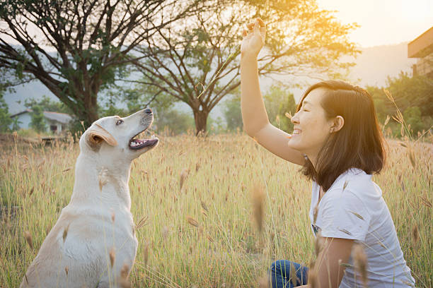 istock woman playing with friendly dog 520088858
