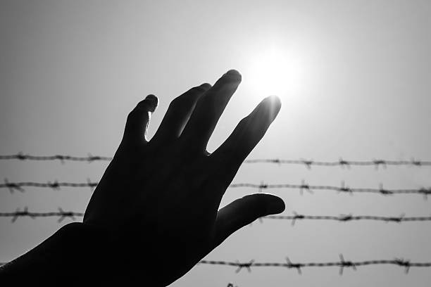 istock Silhouette hand extending to the sky with barbwire and sunlight 520091634