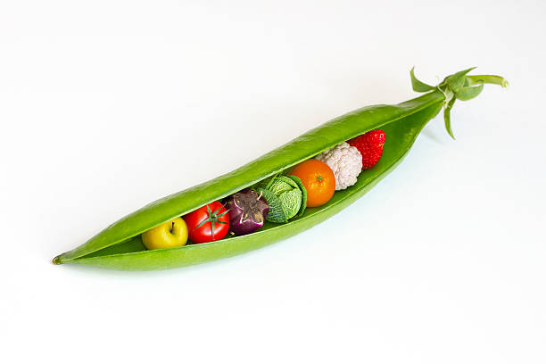 vagem com frutos e produtos hortícolas - green pea pea pod vegetable freshness imagens e fotografias de stock