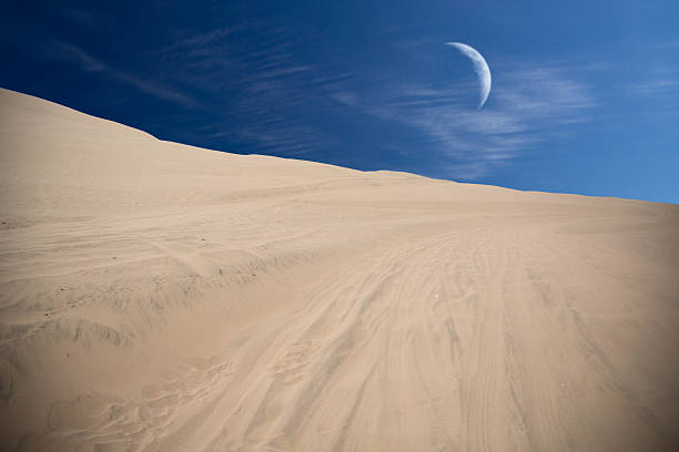 луна сияет - oasis sand sand dune desert стоковые фото и изображения