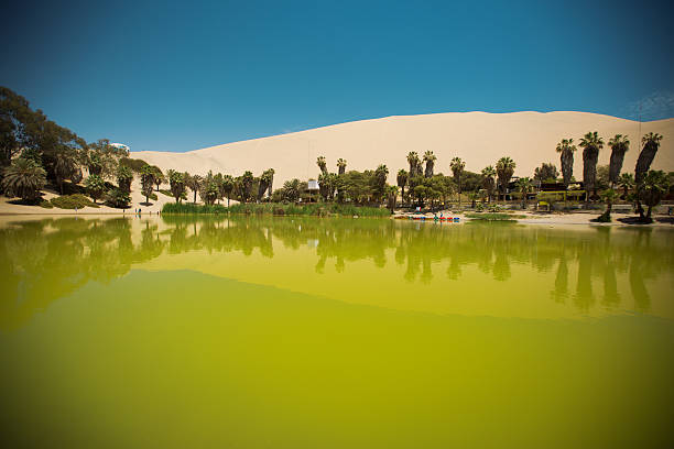 оазис в пустыне уакачина ика - oasis sand sand dune desert стоковые фото и изображения