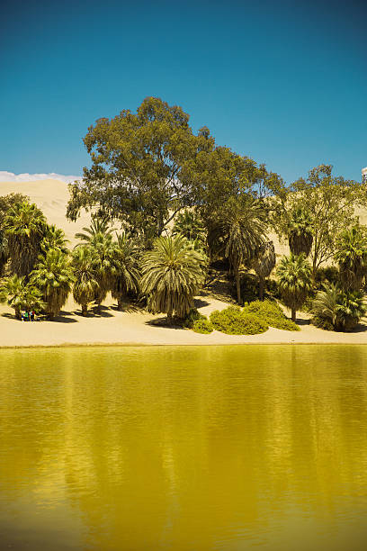 оазис в пустыне уакачина ика - oasis sand sand dune desert стоковые фото и изображения