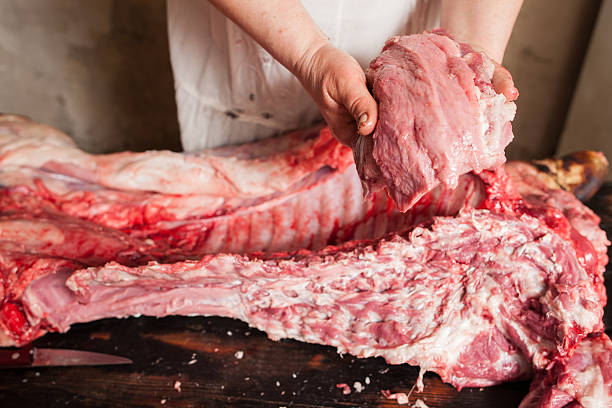vendita di carne in negozio di macelleria/pescheria - preparation meat single object female foto e immagini stock