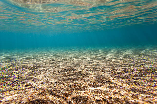 istock background sand on the beach underwater 520112545