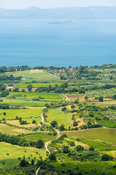 istock Bolsena lake from Montefiascone 520113125