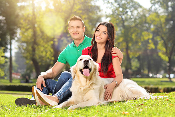 istock Young couple in park with a dog 520115199