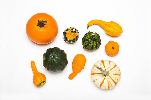 istock High angle of colorful gourds on a white background. 520118121
