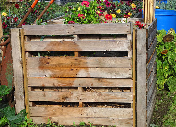 istock Wooden compost heaps, compost bin converters, allotment / vegetable garden waste 520120271