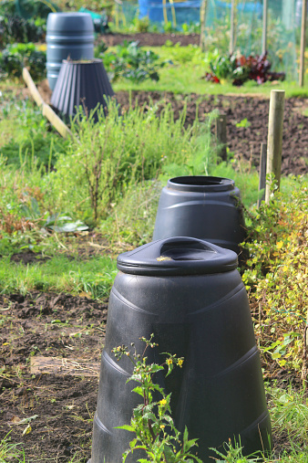 Photo showing an allotment vegetable garden with a number of different green and black plastic compost bins / compost heaps filled with rotting garden waste and weeds that are being recycled.  The compost bins have been filled with old weeds, leaves and spent vegetable plants that have cropped.